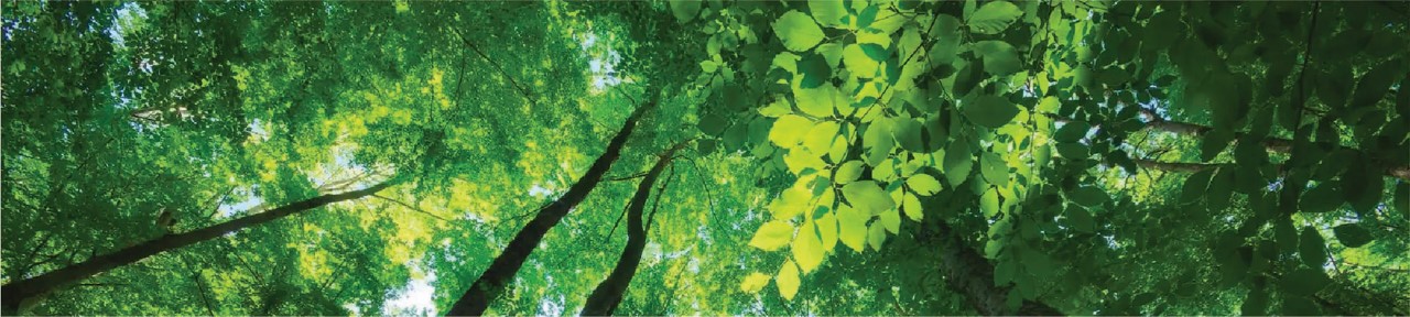 Green_2000x450